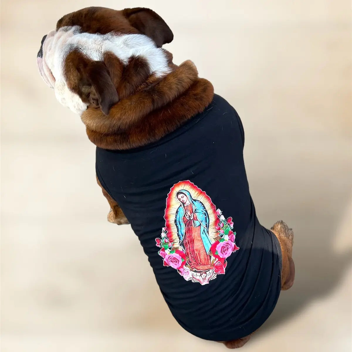 Virgen de Guadalupe Dog T Shirt