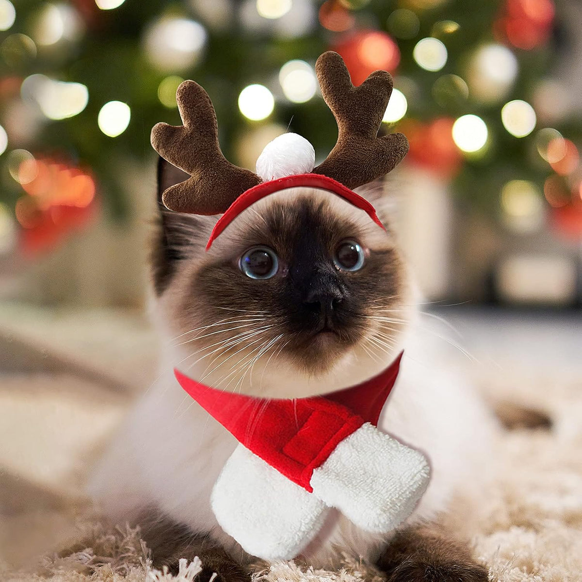 Cat Santa Hat with Scarf, Christmas Hats for Cats Small Dog Santa Hat Christmas Costume for Cat Rabbit Puppy Doll Decoration, Red S