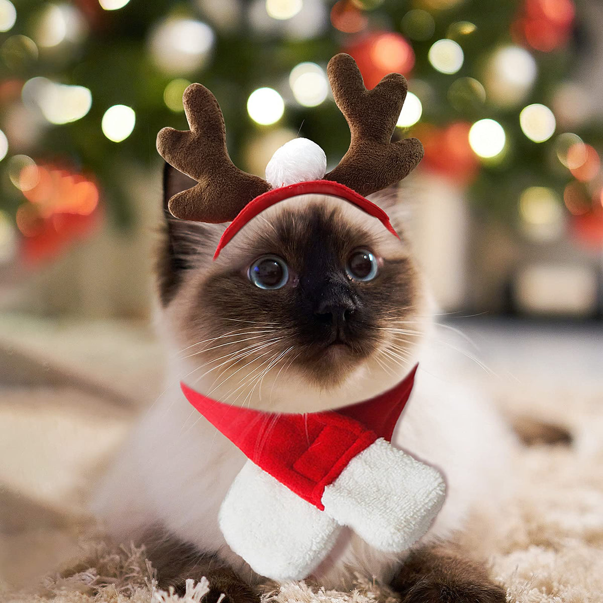 Cat Santa Hat with Scarf, Christmas Hats for Cats Small Dog Santa Hat Christmas Costume for Cat Rabbit Puppy Doll Decoration, Red S