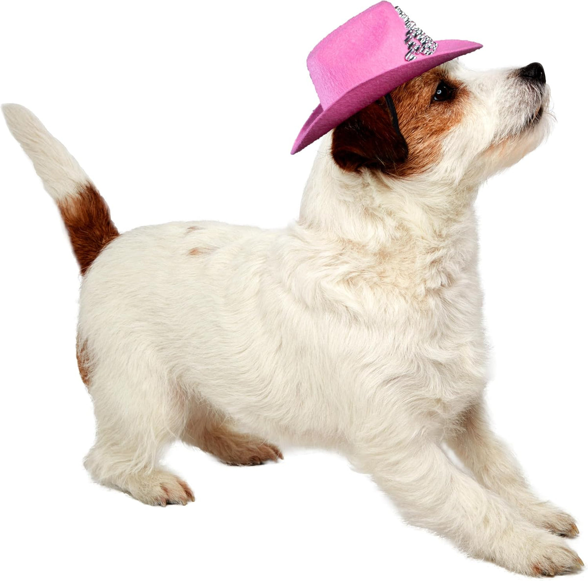 Rubies Cowgirl Pet Hat with Faux Tiara for Dogs or Cats, S/M