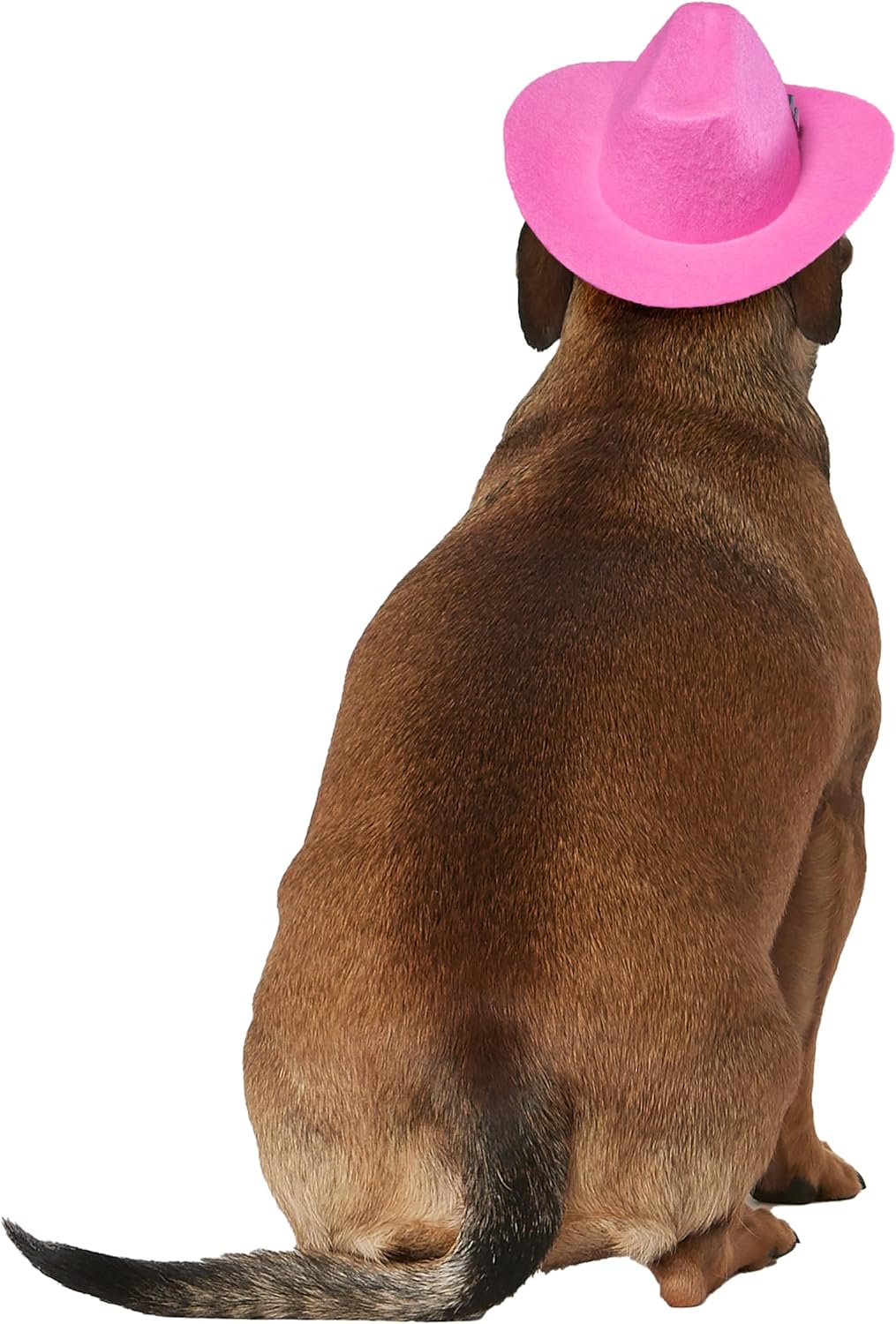 Rubies Cowgirl Pet Hat with Faux Tiara for Dogs or Cats, S/M