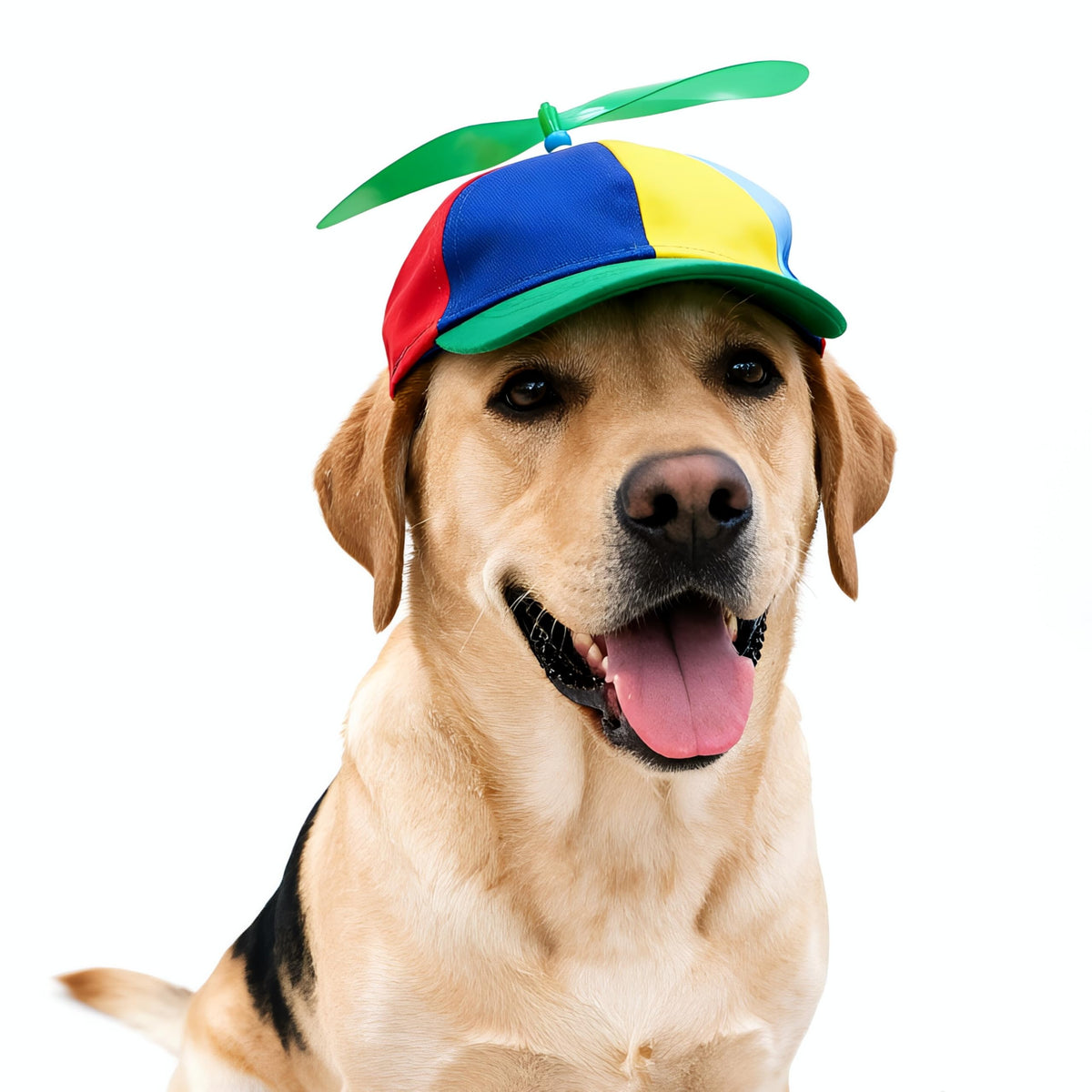 Propeller Pet Hats, Funny Helicopter Adjustment Green Hats for Dog XS