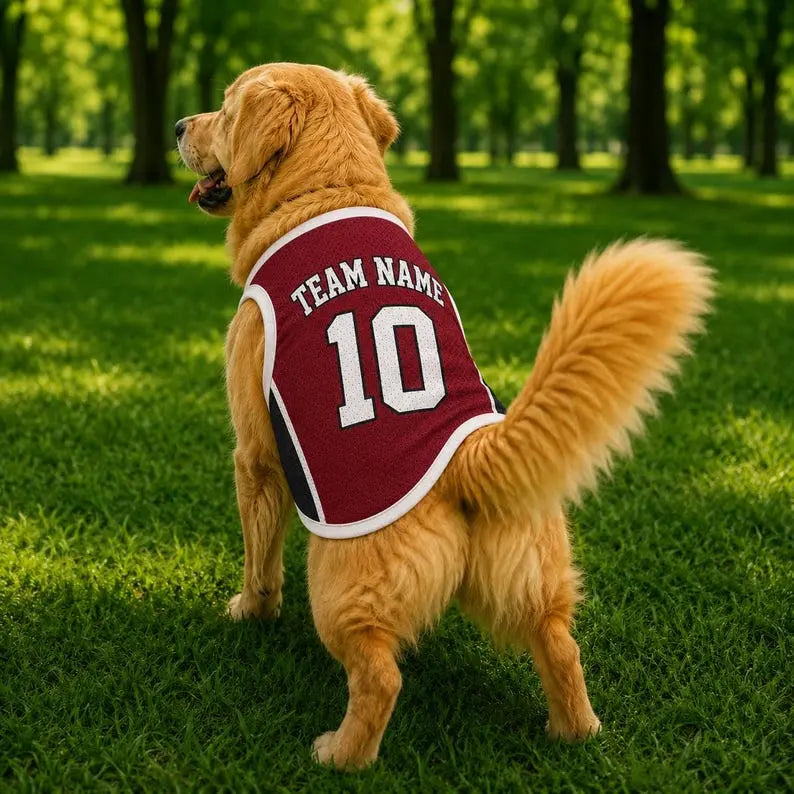 Custom Pet Basketball Jersey, Personalized Dog Cat Shirt, Name and Number Sports Outfit for Dog