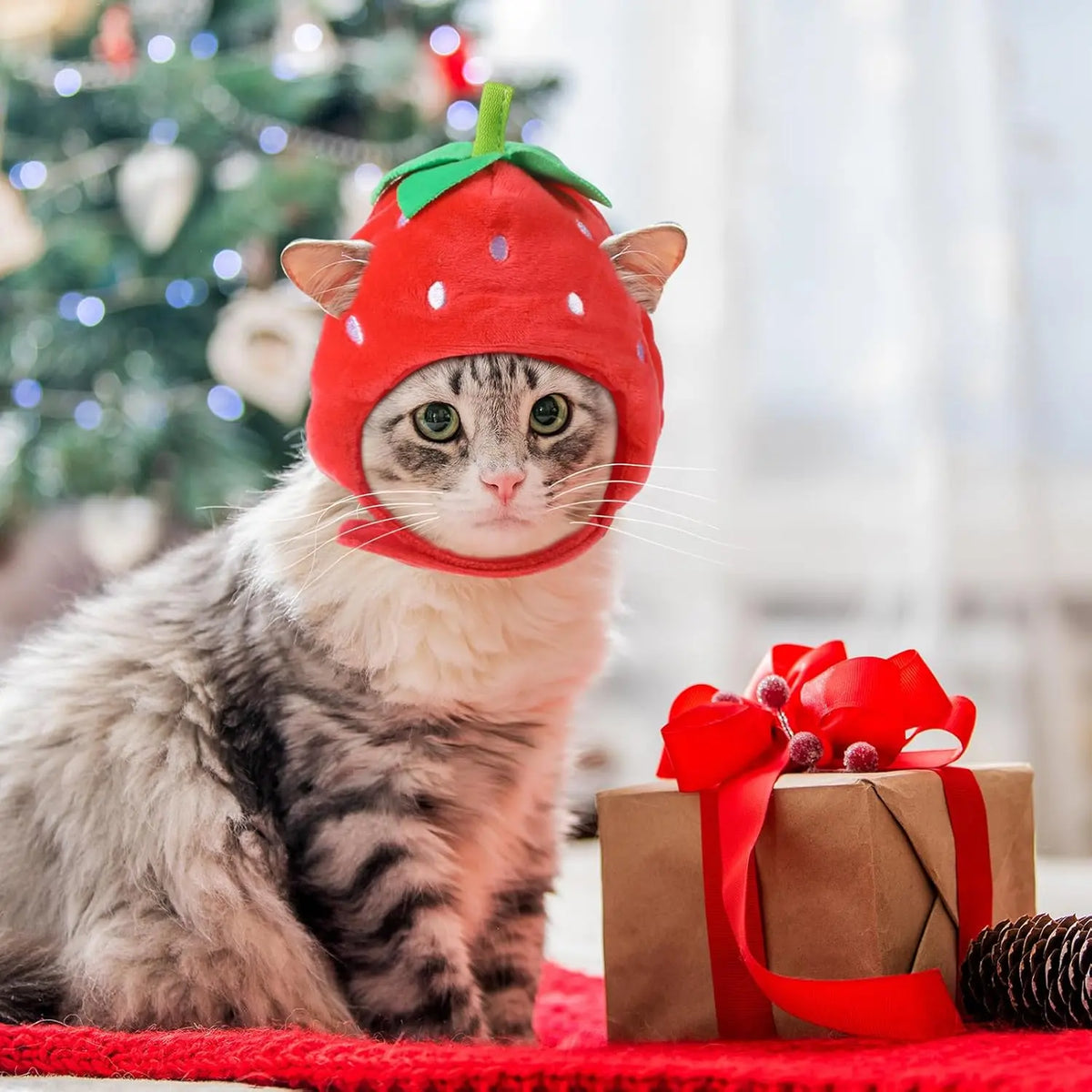 5 Pcs Cat Adorable Costume Bunny Hat with Ears Funny Mane Cat Hat for Pets and Small Dogs Kitten Puppy Party Costume Accessory Headwear(Avocado, Orange, Strawberry, Pineapple, Frog)