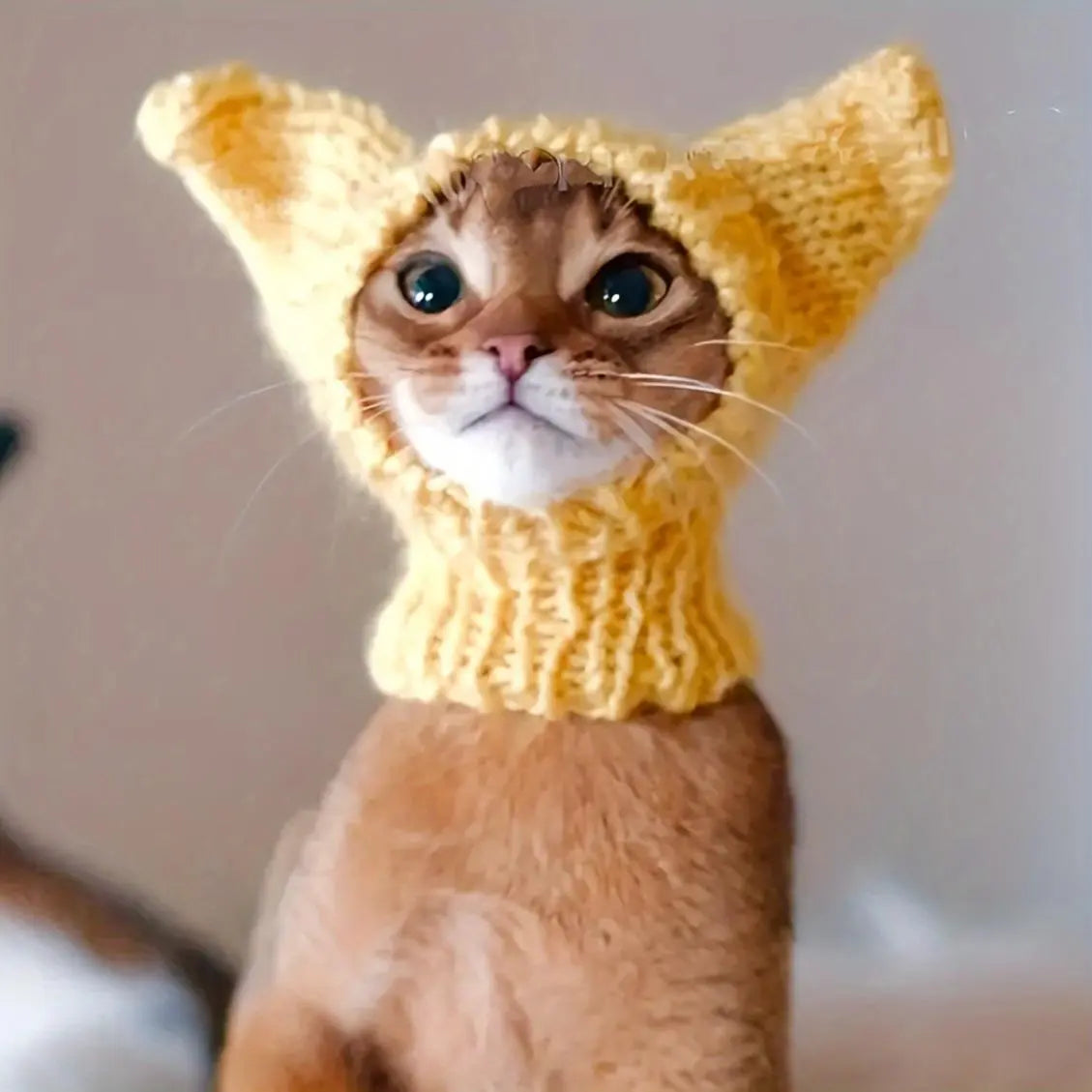 Handmade Elf Cat Hat, Acrylic Knit Fabric Pet Cap for Medium Breeds, All-Season Comfort with Pullover Design, Adorable & Warm - Hand Wash Only