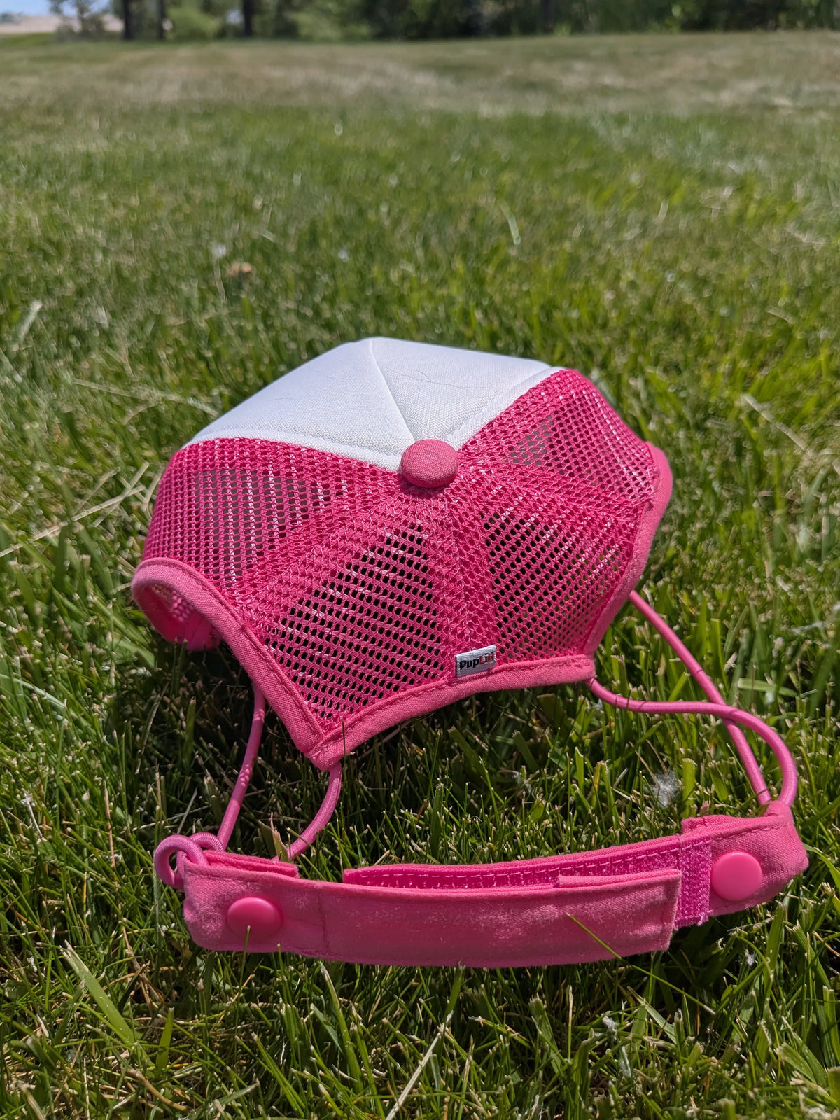 Good Girl Dog Hat | Funny Dog Trucker Hat for Large and Small Dogs | Cute Pet Cap | Adjustable Dog Hat for Photos, Birthdays & Gifts