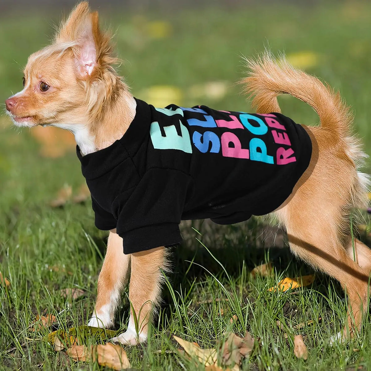 XXS Size Plaid Print Puppy T-Shirt Set (4 Pack) - Lightweight Polyester, Button Closure, 20cm Back Length, 30cm Bust - Spring Summer Walking Wear for Small Male Dogs (Chihuahua, Yorkie)