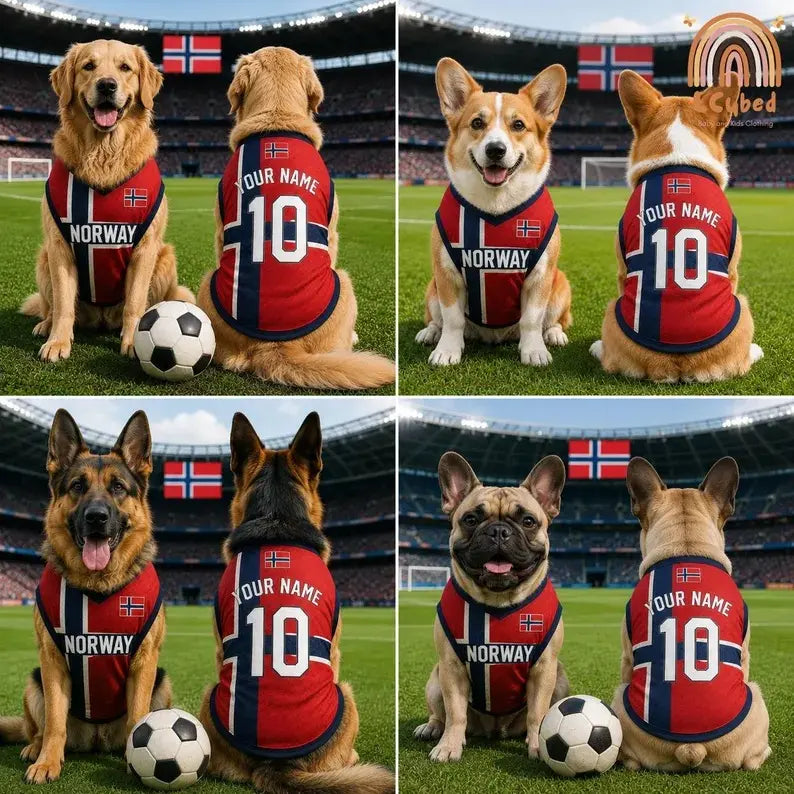 Personalized Dog Football Norway Team Jersey, Custom Pet Names and Number Shirt, Sports Fans Pet Owners Gift, Soccer Team Favors