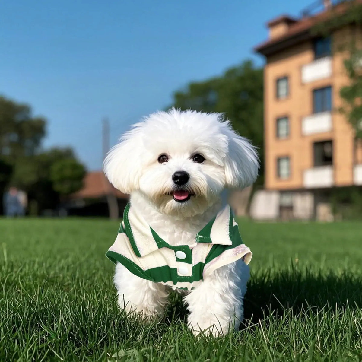 Multi-Size Collared Dog Button-Up Polo Shirt with Striped Collar - Summer Pet Shirt for Small-Medium Dogs, 1-Piece Cat Clothing, One-Piece
