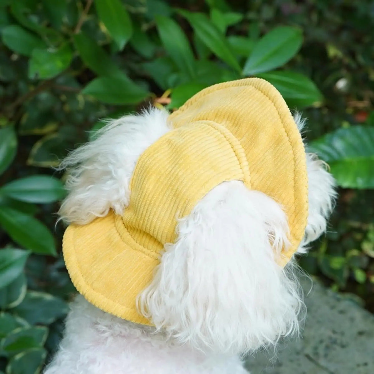 Cute Corduroy Pet Hat with Ear Holes, Outdoor Sun Protection Pet Hat, Pet Supplies for Small Medium Large Dogs & Cats, Outside