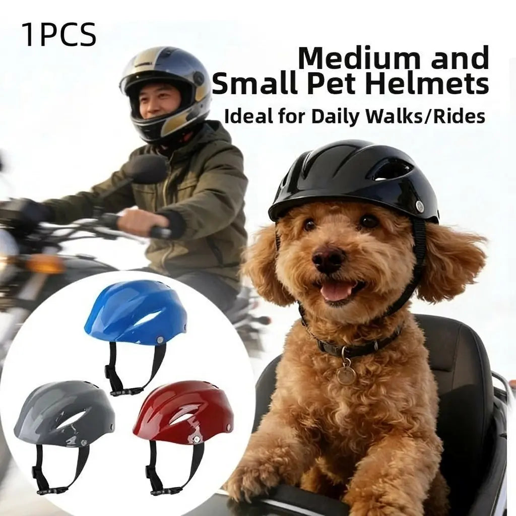 Pet Helmet for Border Collie and Corgi, Adjustable Safety Hat for Outdoor Riding, Motorcycle Cap with Visible Ears, Cat Headwear