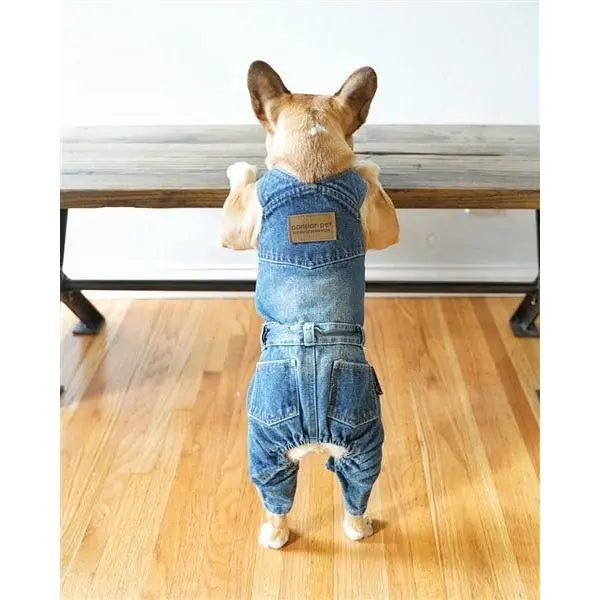 Parisian Pet 'Denim Overalls' – Durable and Trendy Pet Overalls for Dogs & Cats-Blue Costume Clothes