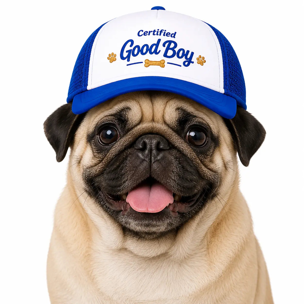 Veterinarian-Certified UV Protection Fabric Dog Foam Trucker Hat - Furfect Fit System, Multi-Size (Small,Large), Cool Ventilation, Adjustable Chin Strap, Eye Safety, All-Seasons Mesh Cap for Sun Adventures, Universal Fit, Certified Good Boy Gear