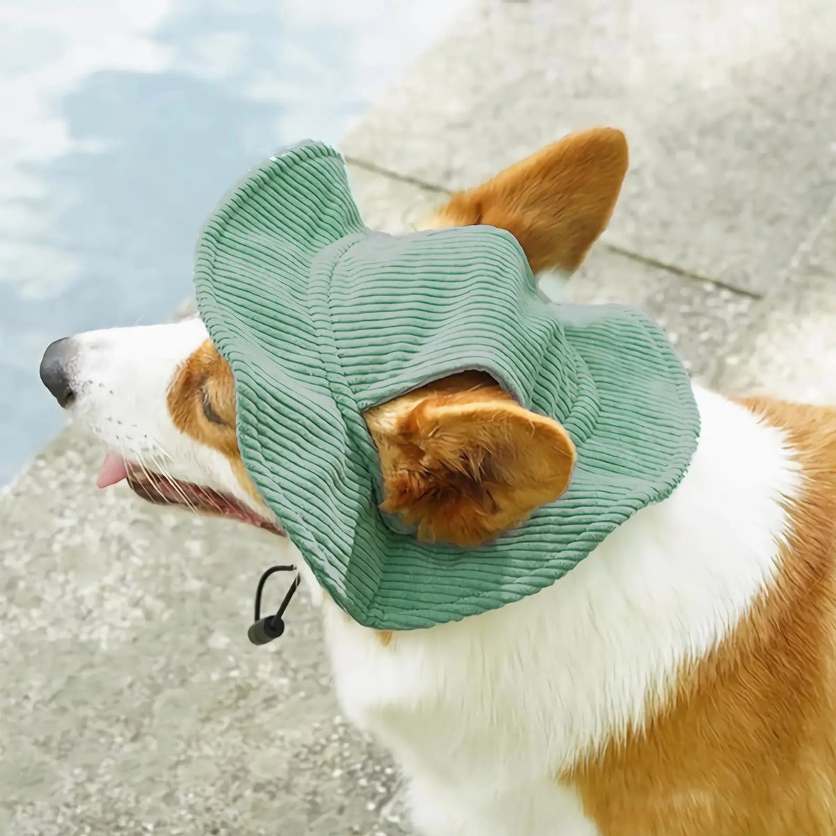 Cute Corduroy Pet Hat with Ear Holes, Outdoor Sun Protection Pet Hat, Pet Supplies for Small Medium Large Dogs & Cats