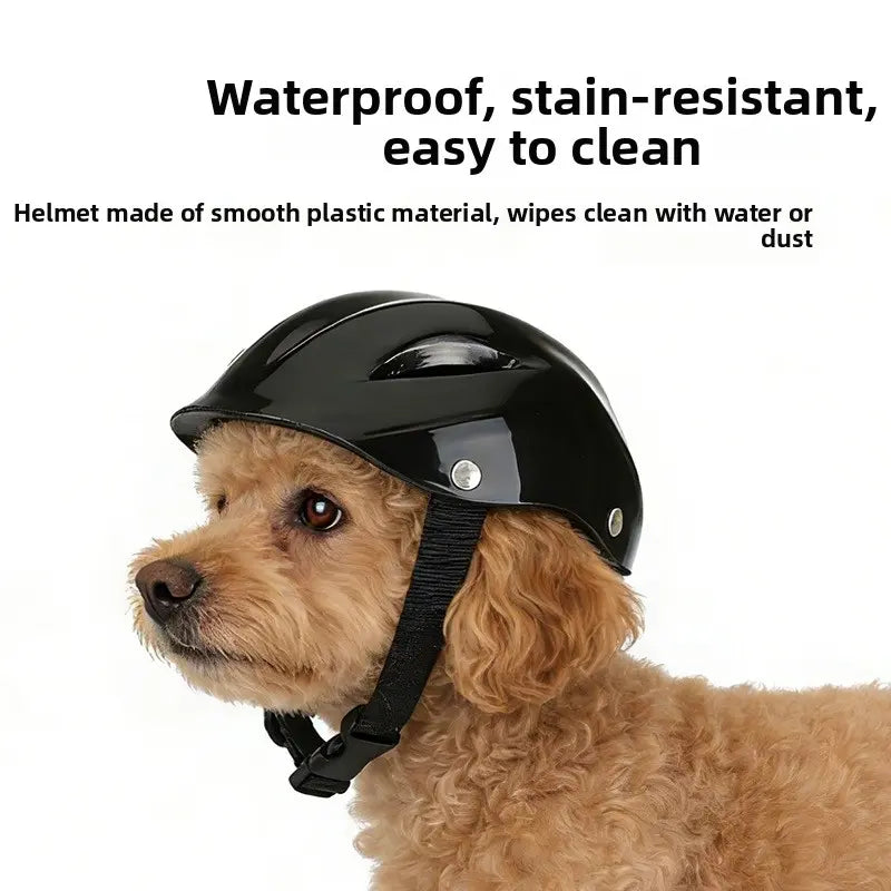 Pet Helmet for Border Collie and Corgi, Adjustable Safety Hat for Outdoor Riding, Motorcycle Cap with Visible Ears, Cat Headwear