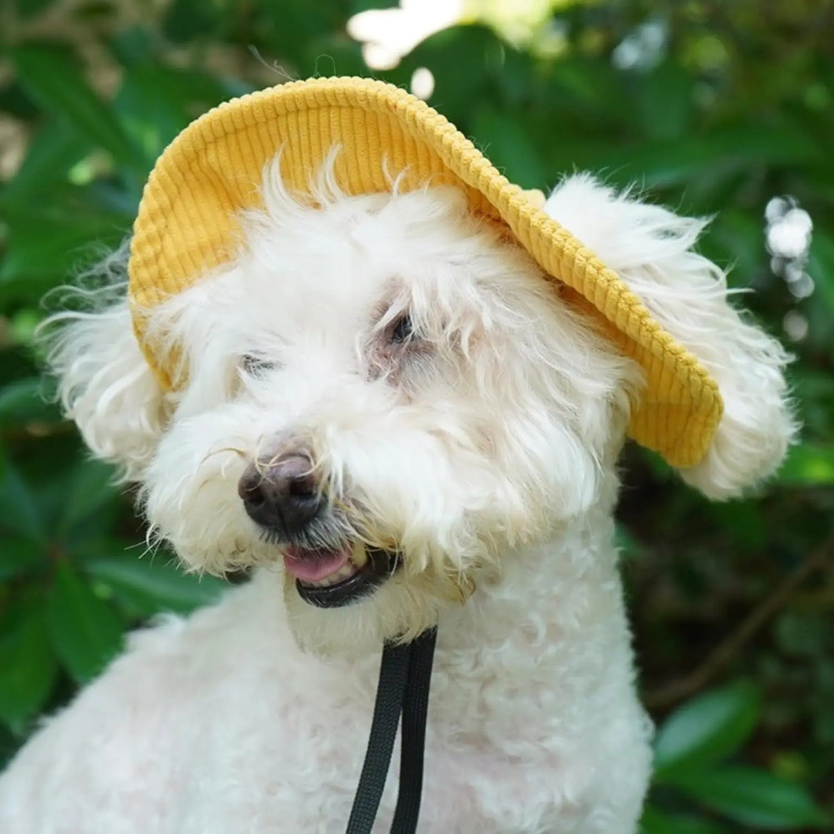 Cute Corduroy Pet Hat with Ear Holes, Outdoor Sun Protection Pet Hat, Pet Supplies for Small Medium Large Dogs & Cats, Outside