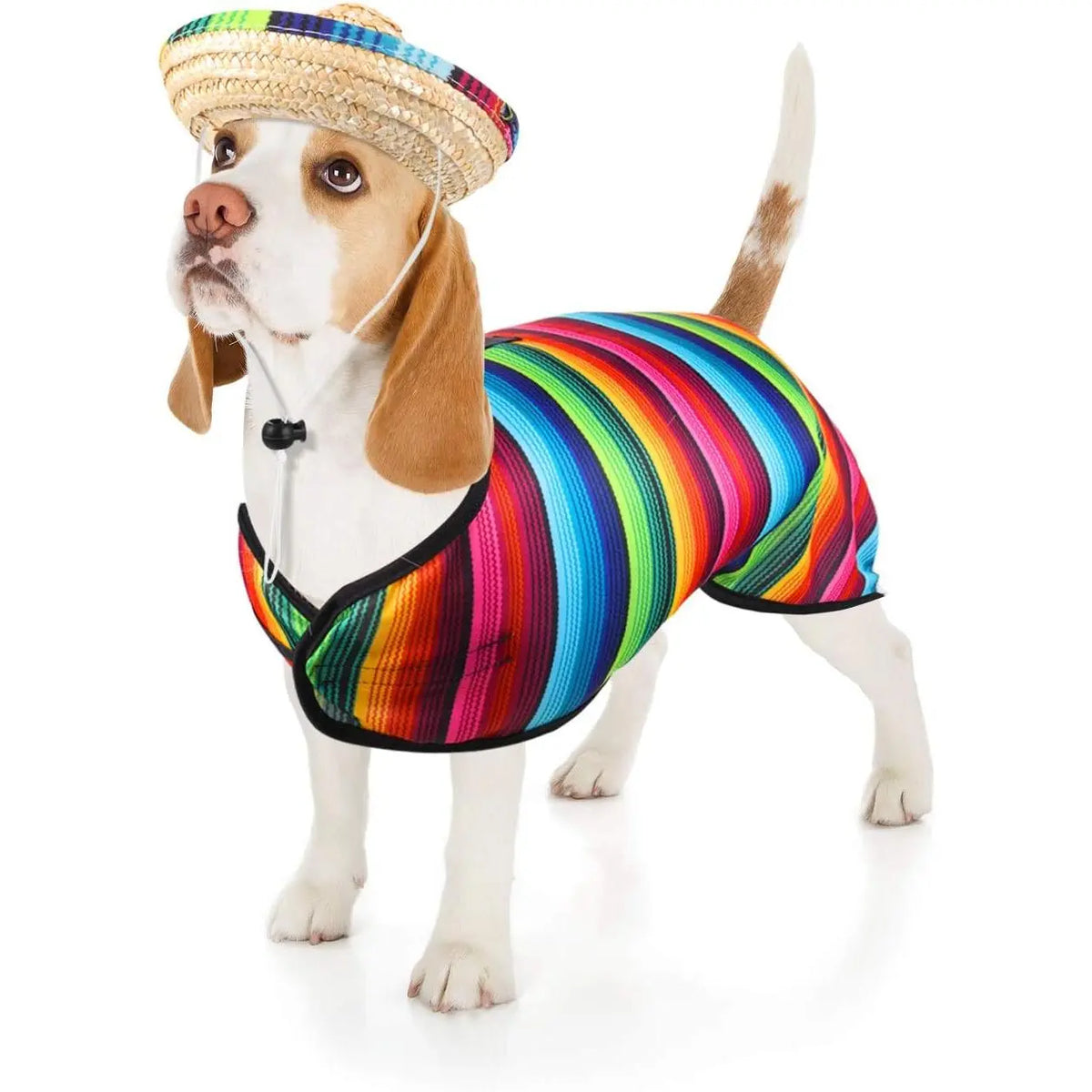 Small Dog 2-Piece Fiesta Costume Set - Rainbow Fabric Adjustable Buckle Serape Poncho, 3-in Height Mexican Straw Sombrero (1.5-in Head Space Diameter, 3-in Brim Diameter), Lightweight for Chihuahua, Birthday Pet Supplies, Full of Happy Fiesta Atmosphere