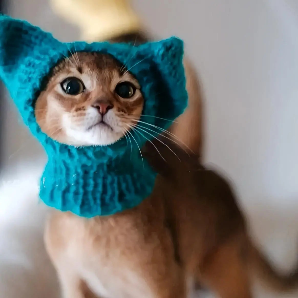 Handmade Elf Cat Hat, Acrylic Knit Fabric Pet Cap for Medium Breeds, All-Season Comfort with Pullover Design, Adorable & Warm - Hand Wash Only