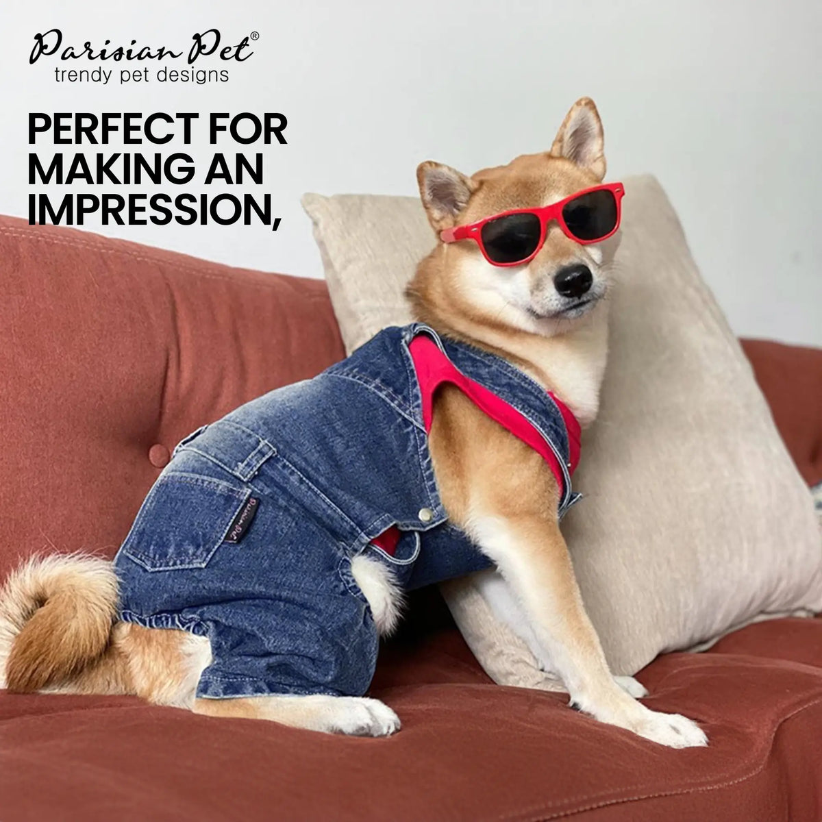 Parisian Pet 'Denim Overalls' – Durable and Trendy Pet Overalls for Dogs & Cats-Blue Costume Clothes
